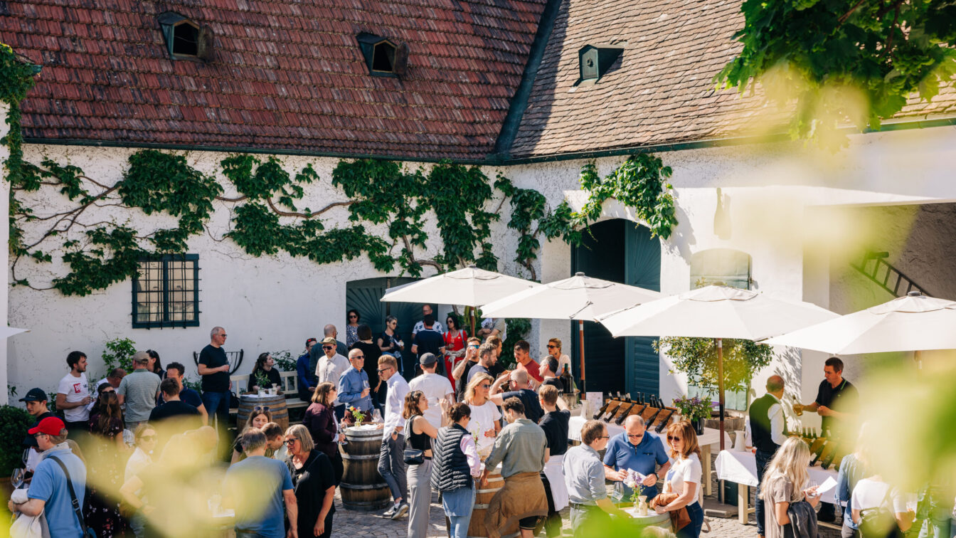 zahlreiche Menschen stehen im Innenhof eines Weinguts und verkosten bei der Tour de Vin Weine