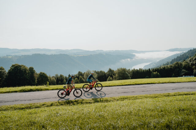 Zwei Personen fahren mit Fahrrädern auf einer Straße mit Blick auf die Donau, entlang der Sauwald Radrunde.