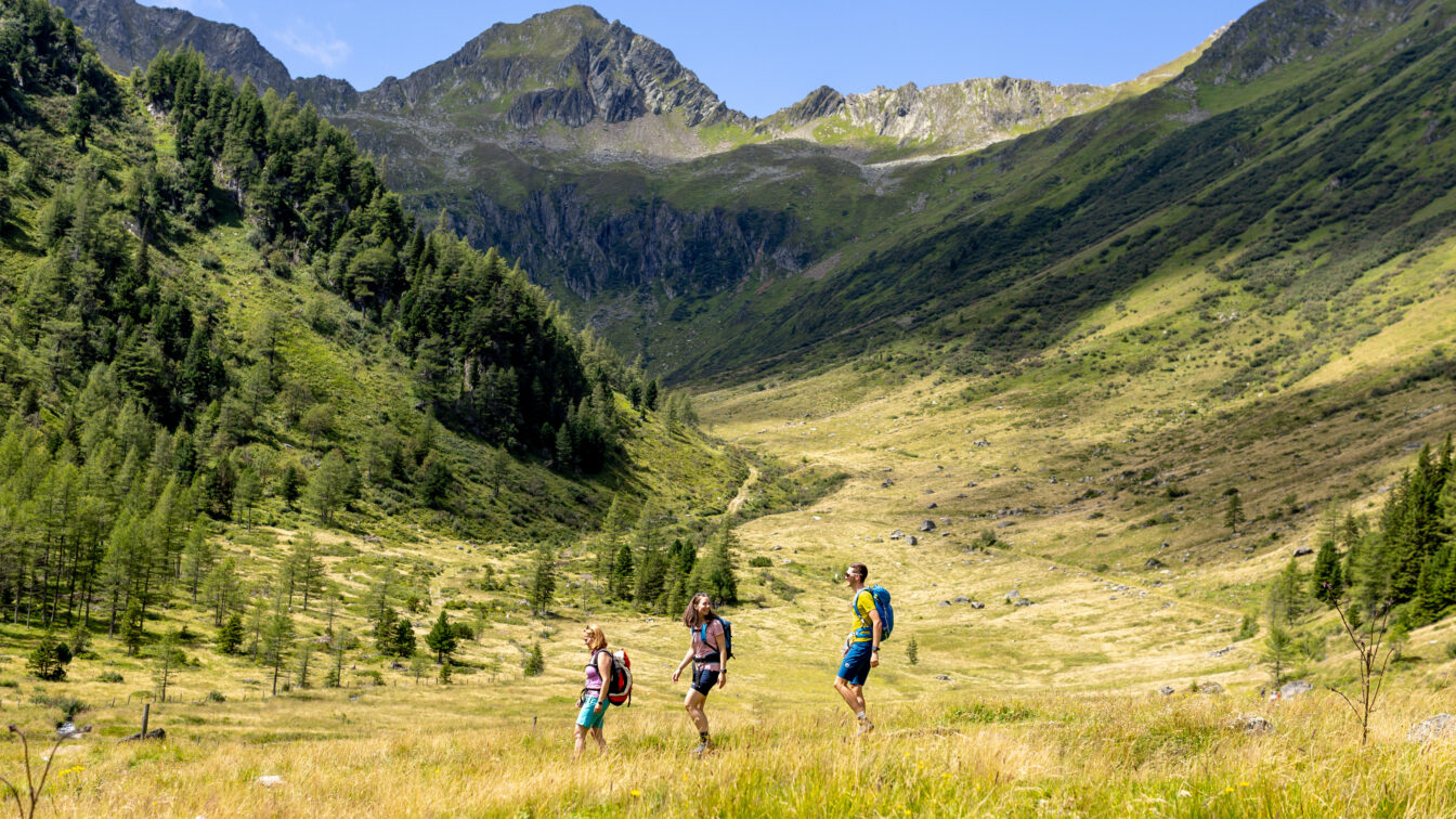 Drei Personen wandern durch eine sommerliche Berglandschaft