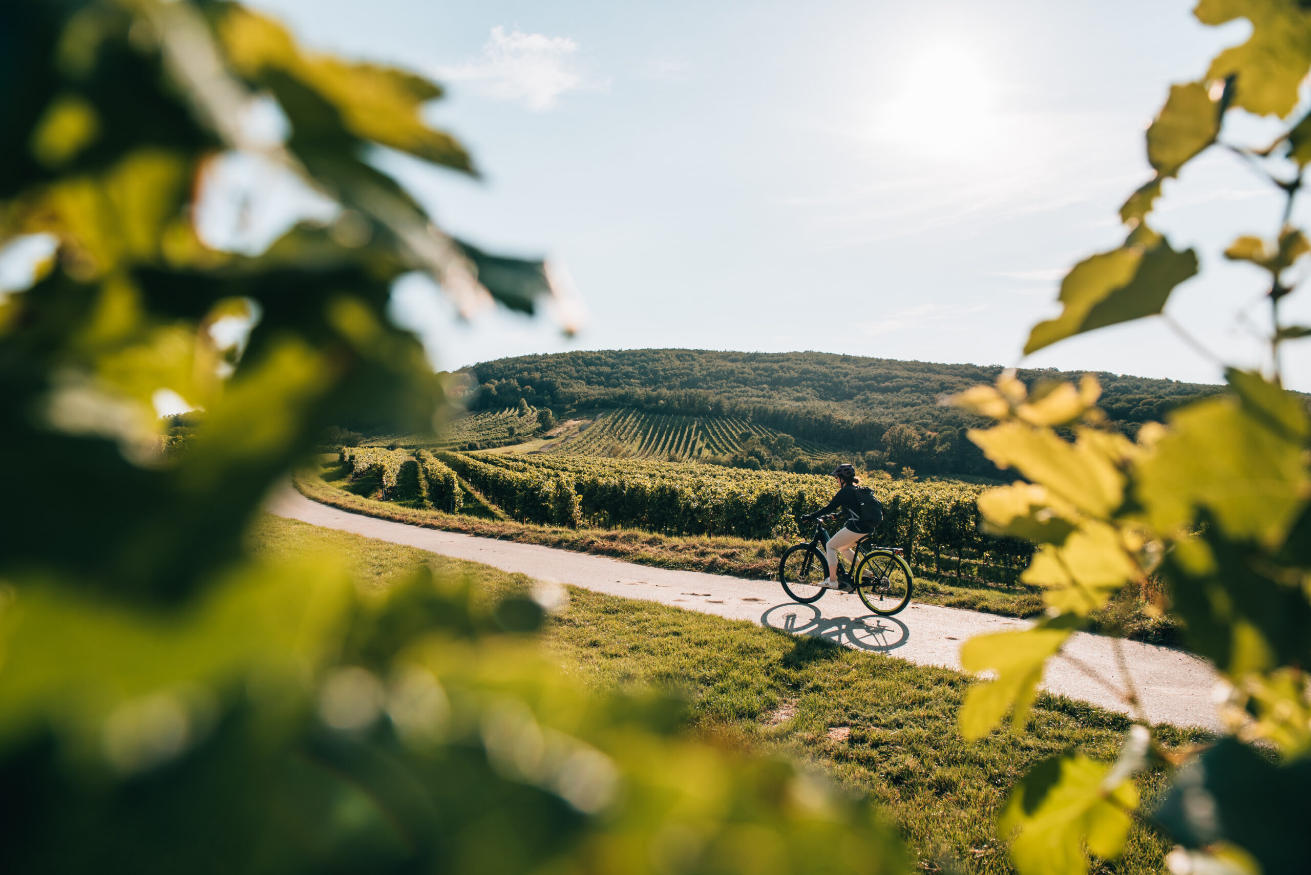 Radfahren in Mailberg
