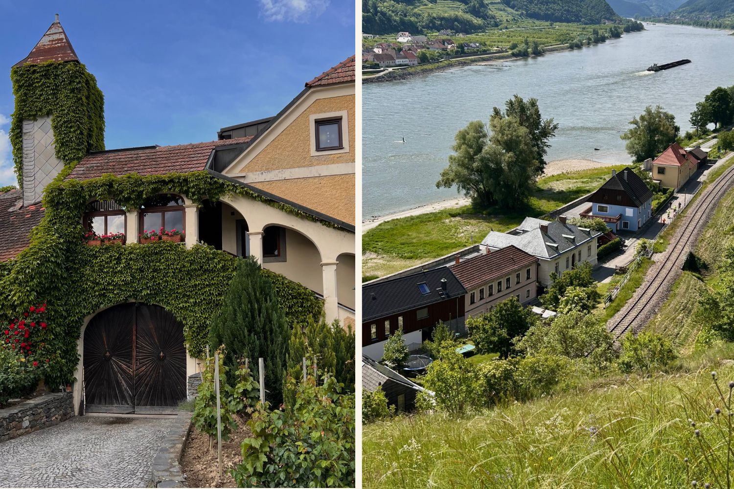 Heuriger Hermenegild Mang links und Blick auf die Donau in der Wachau rechts