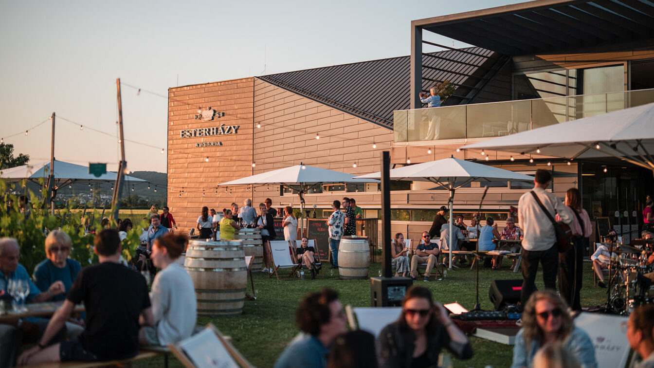 Menschen verbringen den Feierabend im Garten vor dem Weingut Esterházy im Burgenland