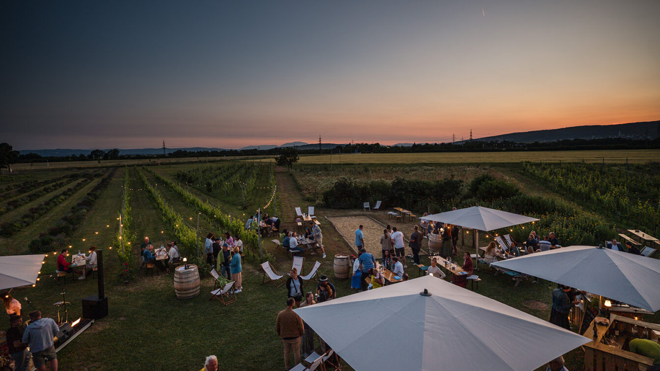 Menschen verbringen den Sonnenuntergang im Garten vor dem Weingut Esterházy im Burgenland