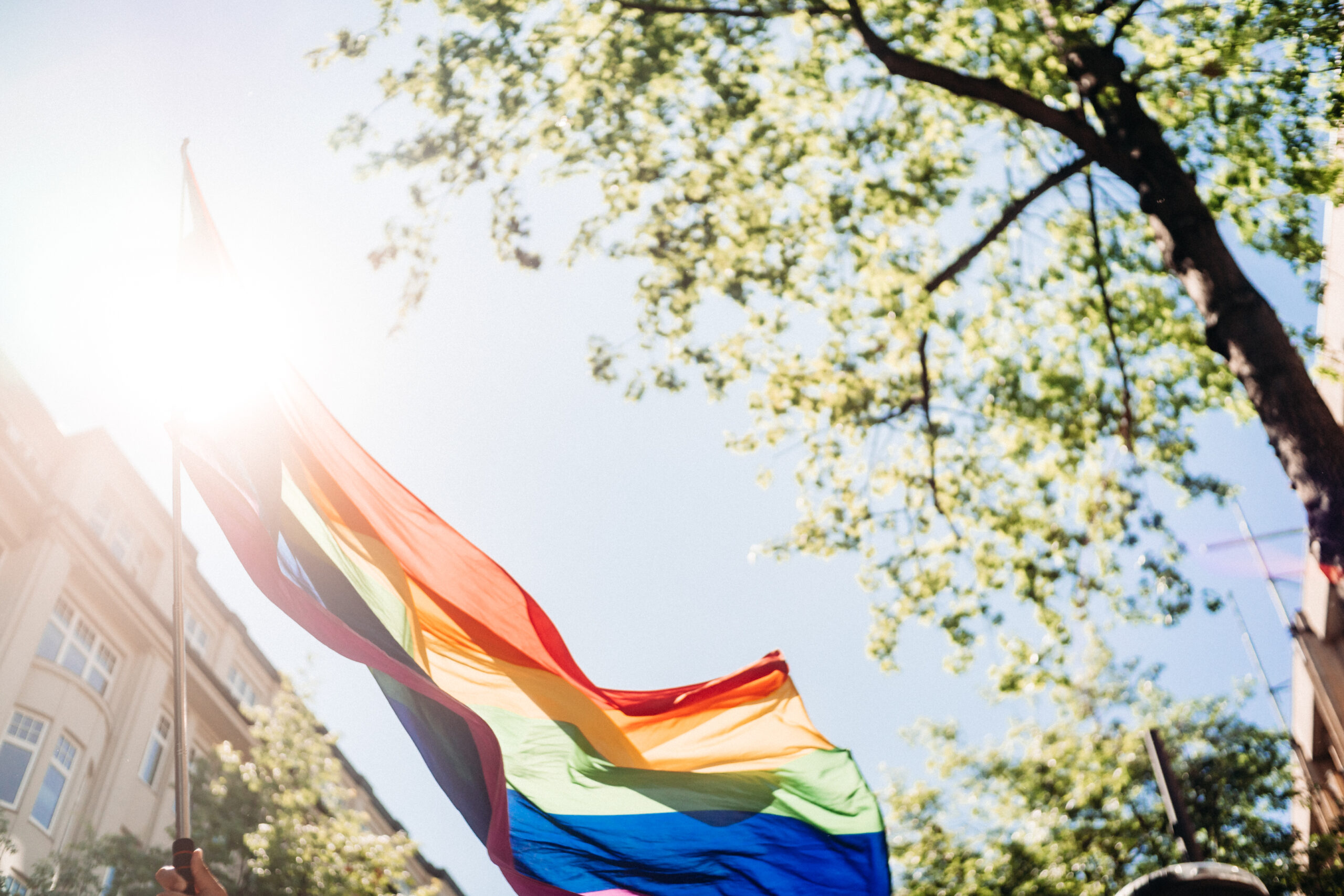Regenbogenflagge im Wind