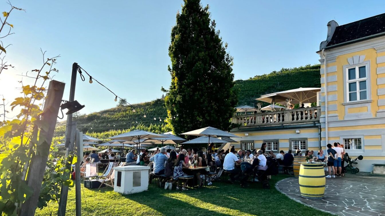 Domäne Wachau Heuriger 2026 Dürnstein