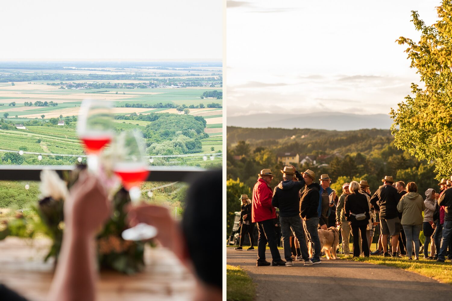 Collage mit Personen die Wein trinken und in der Natur stehen im Südburgenland