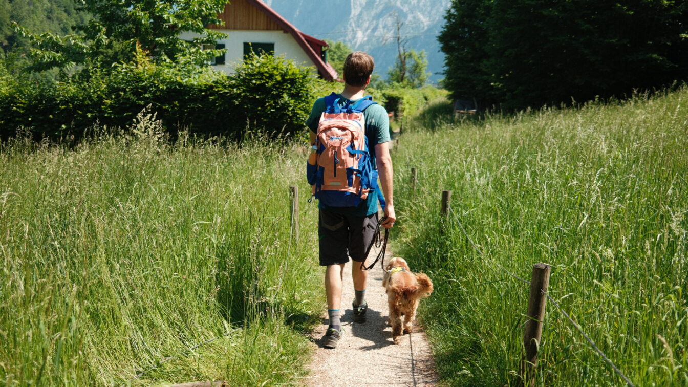 1000things Gründer Jan Pöltner wandert mit Hündin Frieda und Rucksack von Manner durch Wiesen