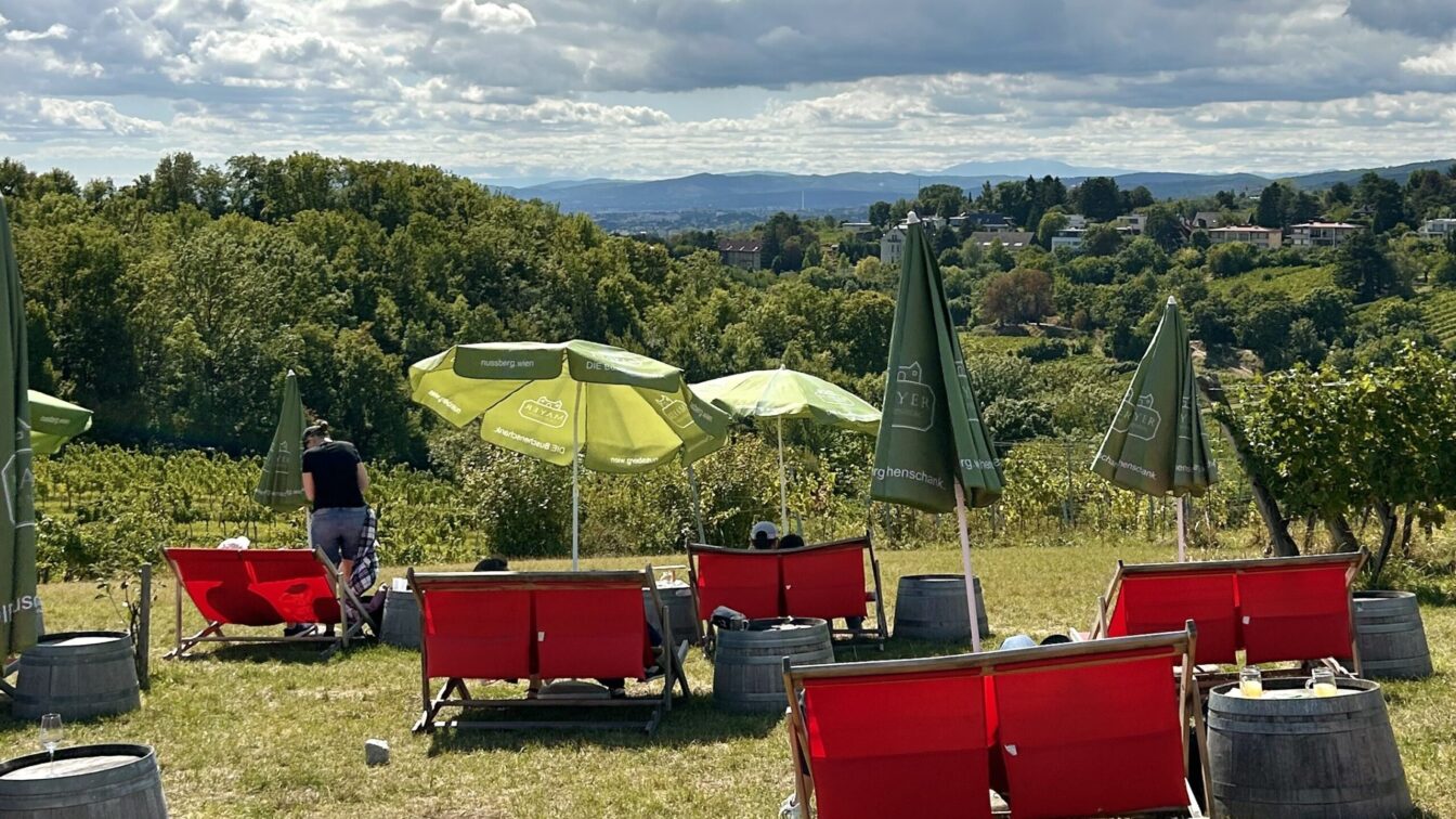 Die Liegestühle mit Ausblick beim Heurigen Mayer am Nussberg