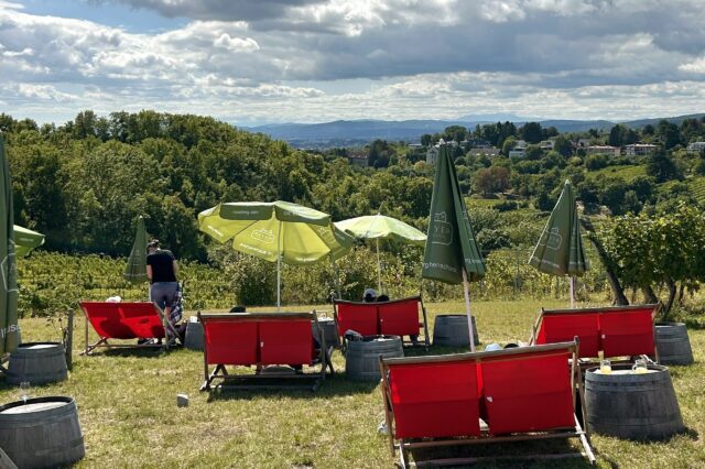 Die Liegestühle mit Ausblick beim Heurigen Mayer am Nussberg