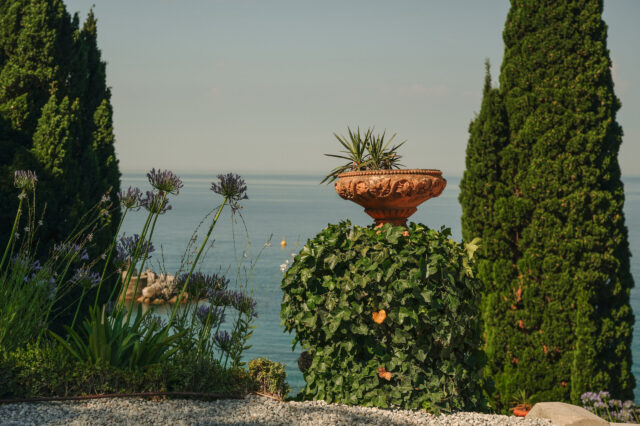 Im Schlosspark von Miramare in Triest gibt es zahlreiche blühende Pflanzen und Blumen sowie einen schönen Blick aufs Meer.