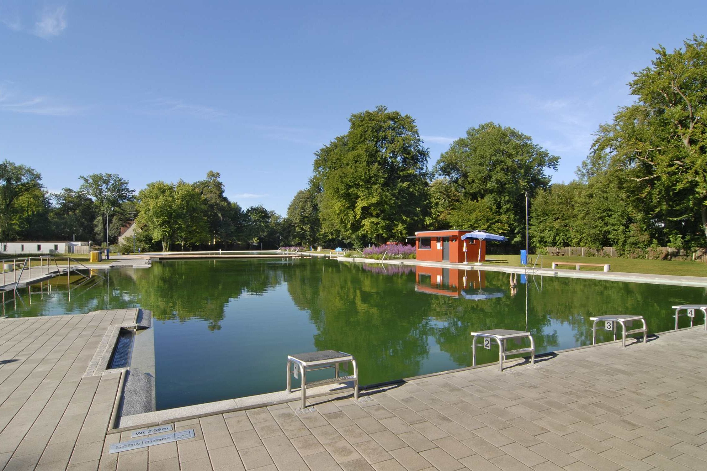 Ein großes Schwimmbeecken, umgeben von grünen Bäumen in einem Freibad.