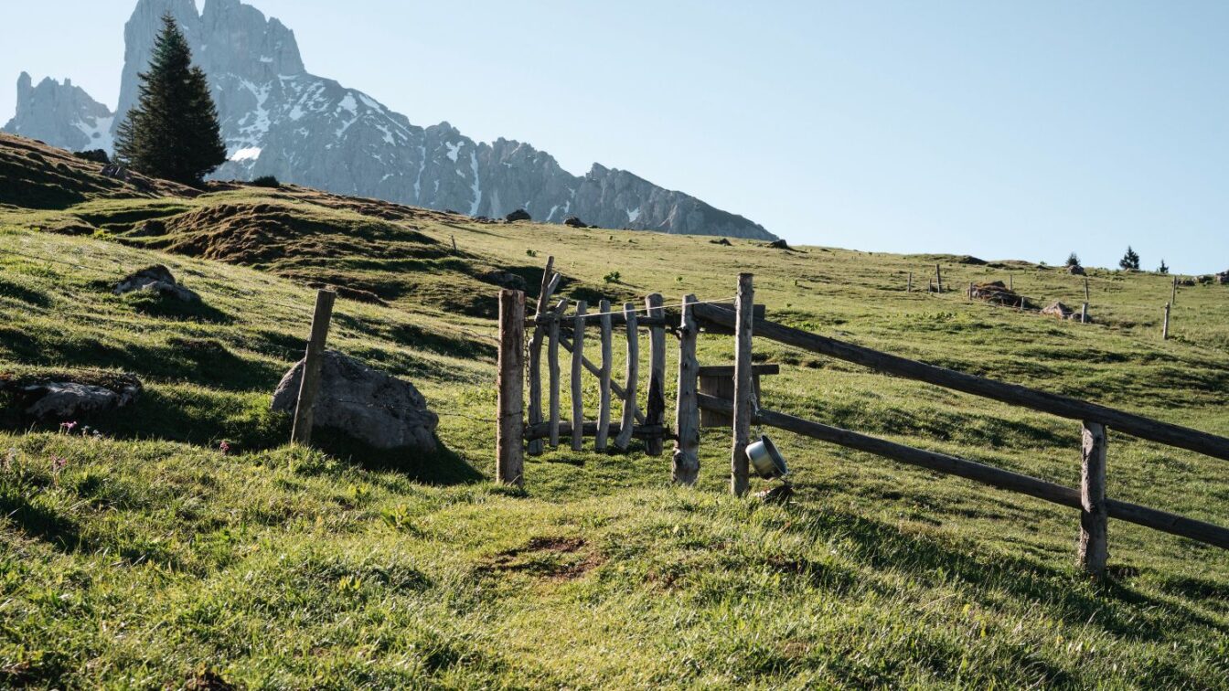 Bischofsmütze: Block von der Stuhlalm, Annaberg im Lammertal