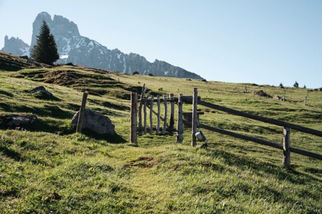 Bischofsmütze: Block von der Stuhlalm, Annaberg im Lammertal