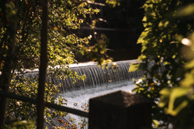 Das Lehel in München ist eines der schönsten und beliebtesten Viertel an der Isar.