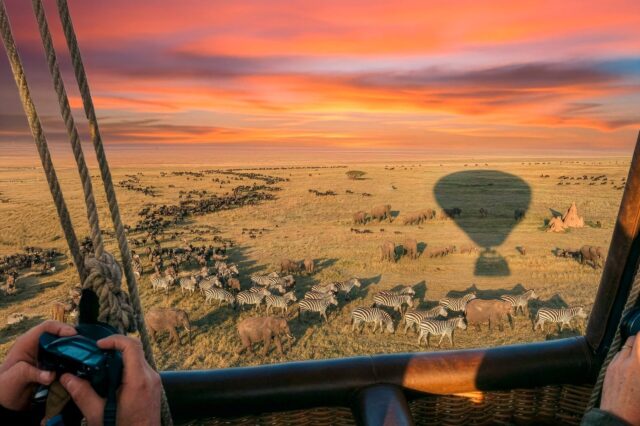 Besondere Erlebnisse wie eine Heißluftballon-Safari (c) Lidl, KI generiert