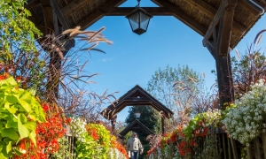 Blumenbrücke Bad Waltersdorf