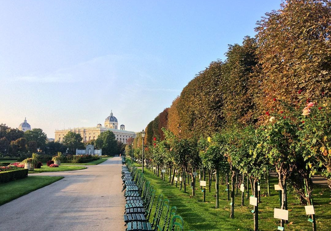 Volksgarten Wien Herbst