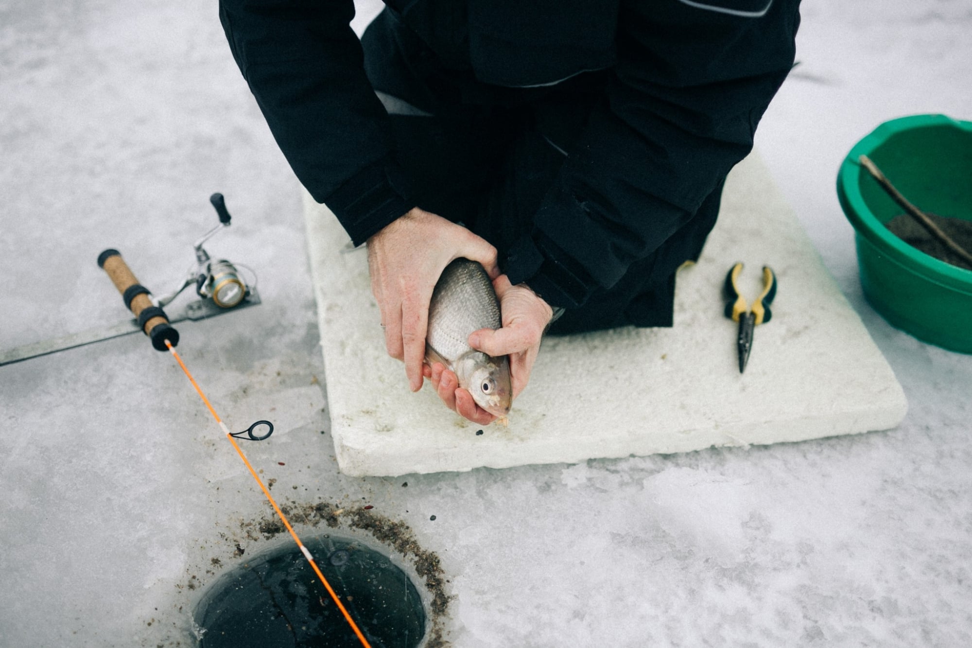 Eisfischen in Österreich: Ottensteiner Stausee Brachse