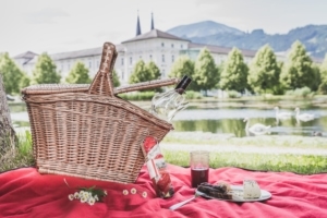 picknick in der steiermark