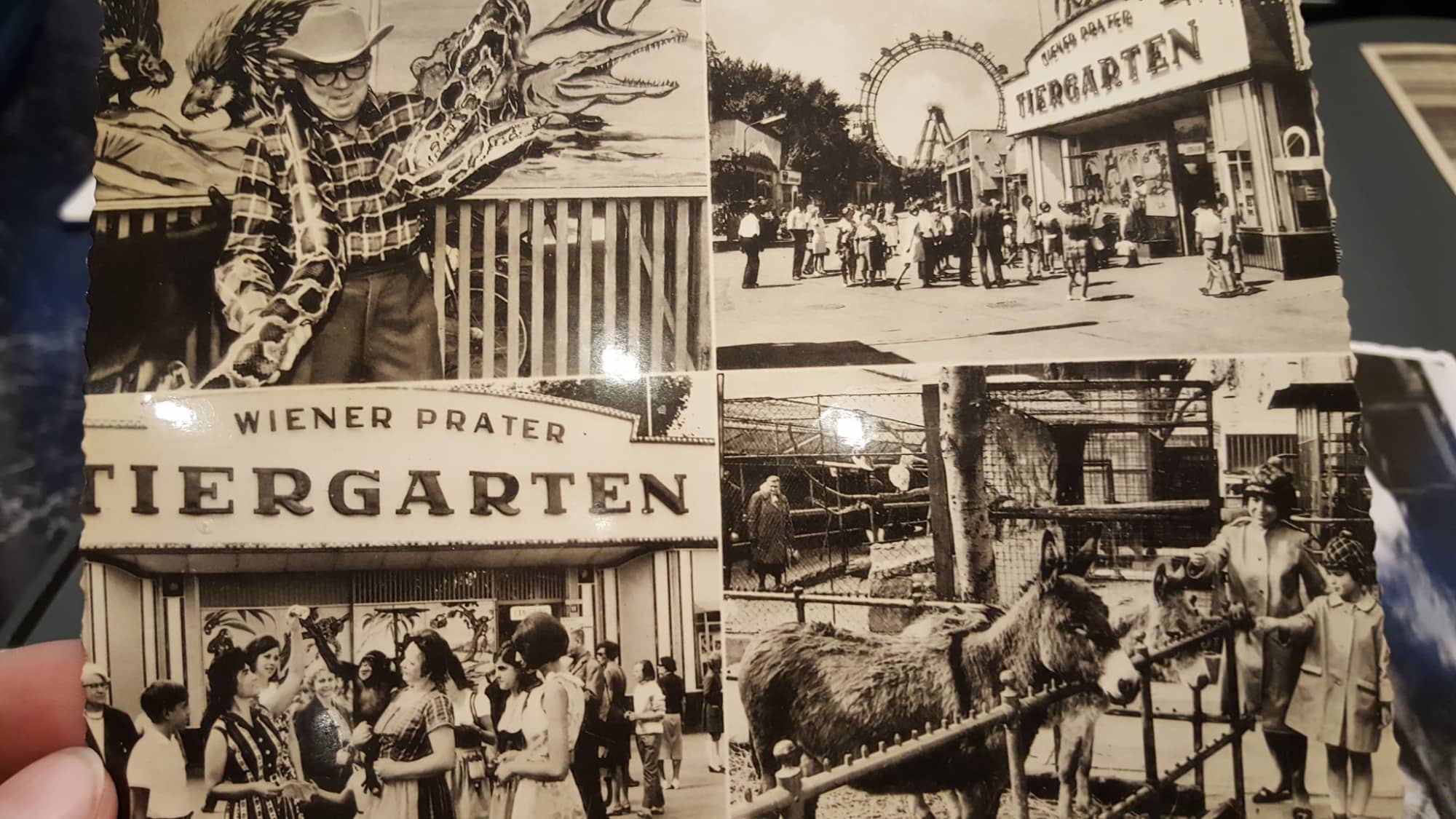 Prater-Zoo: Ansichtskarte