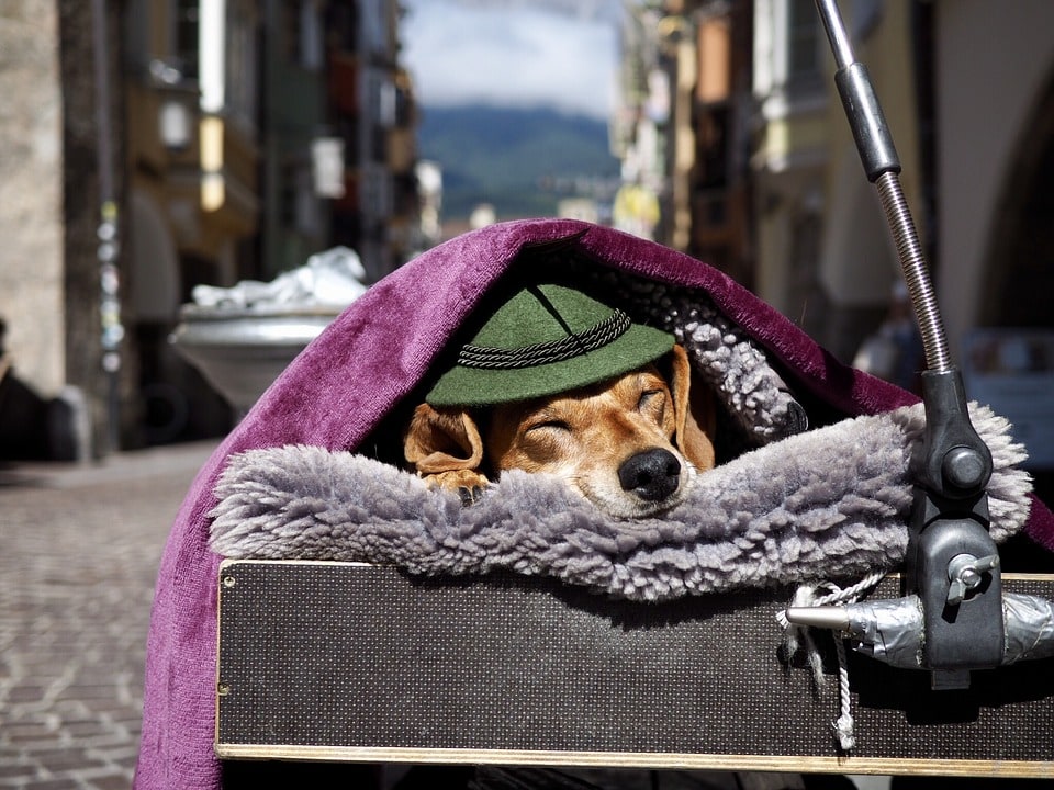 Lebende Statue Innsbruck