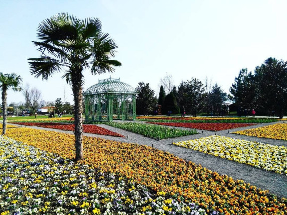 Ausflugsziele für Wien