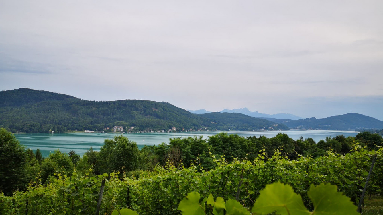 Ausblick Wörthersee