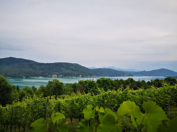 Ausblick Wörthersee