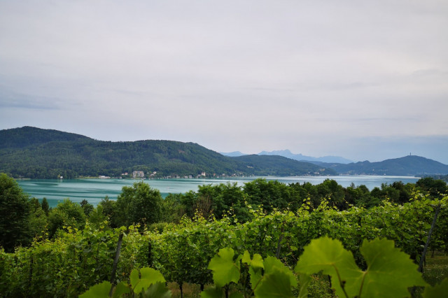 Ausblick Wörthersee