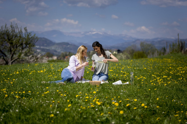 Picknicken Steiermark