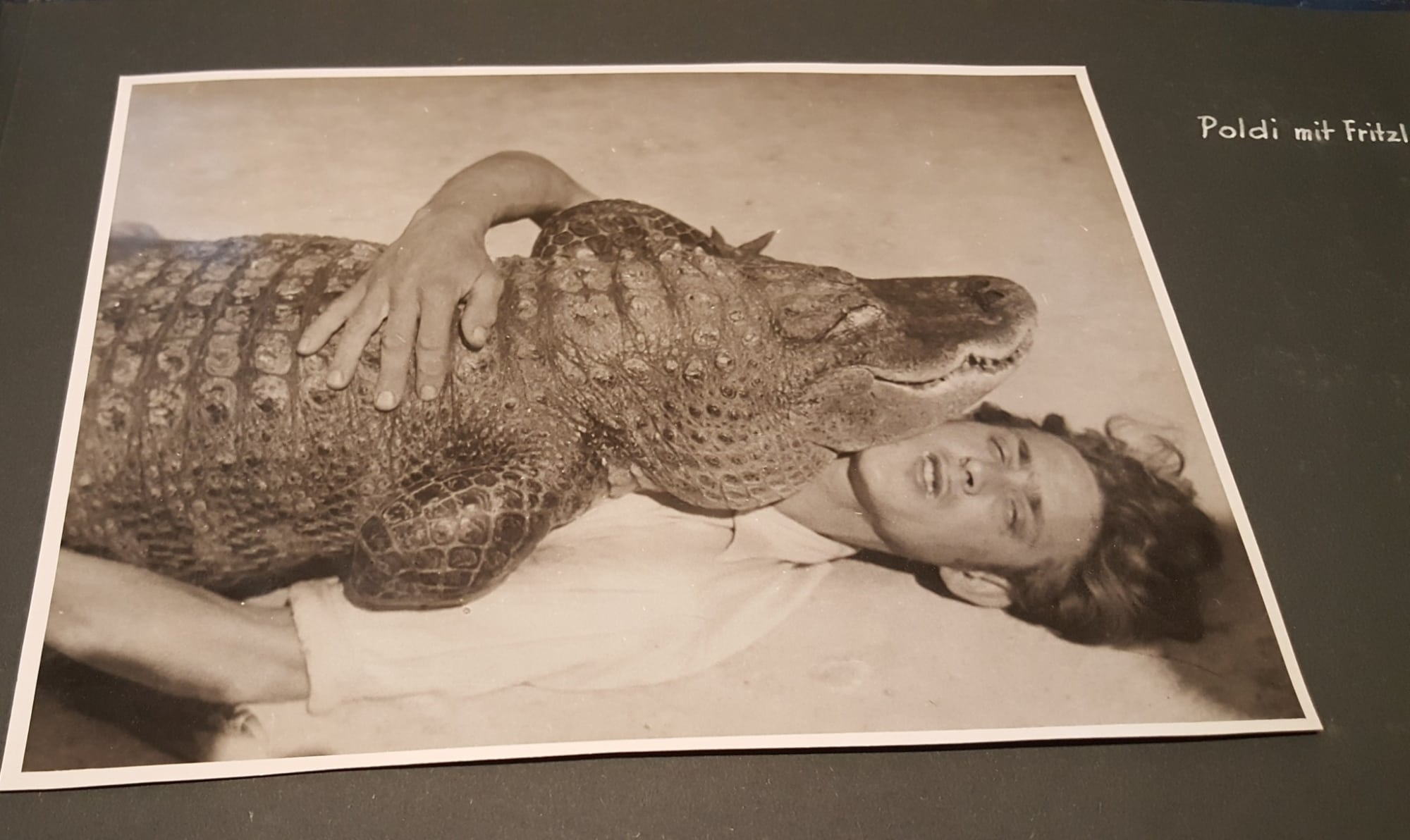 Prater Wien: Tiergarten