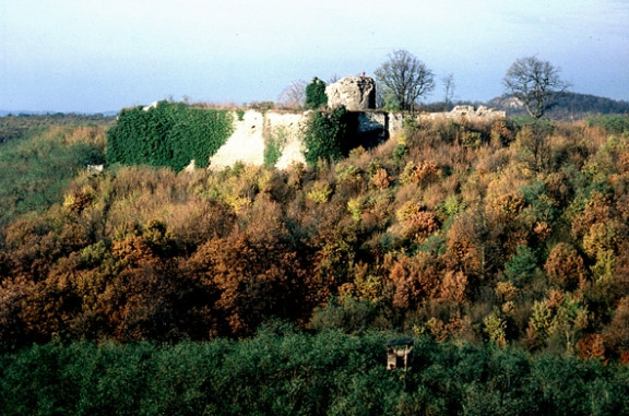 Naturpark Die Wüste Mannersdorf: Ruine Scharfeneck