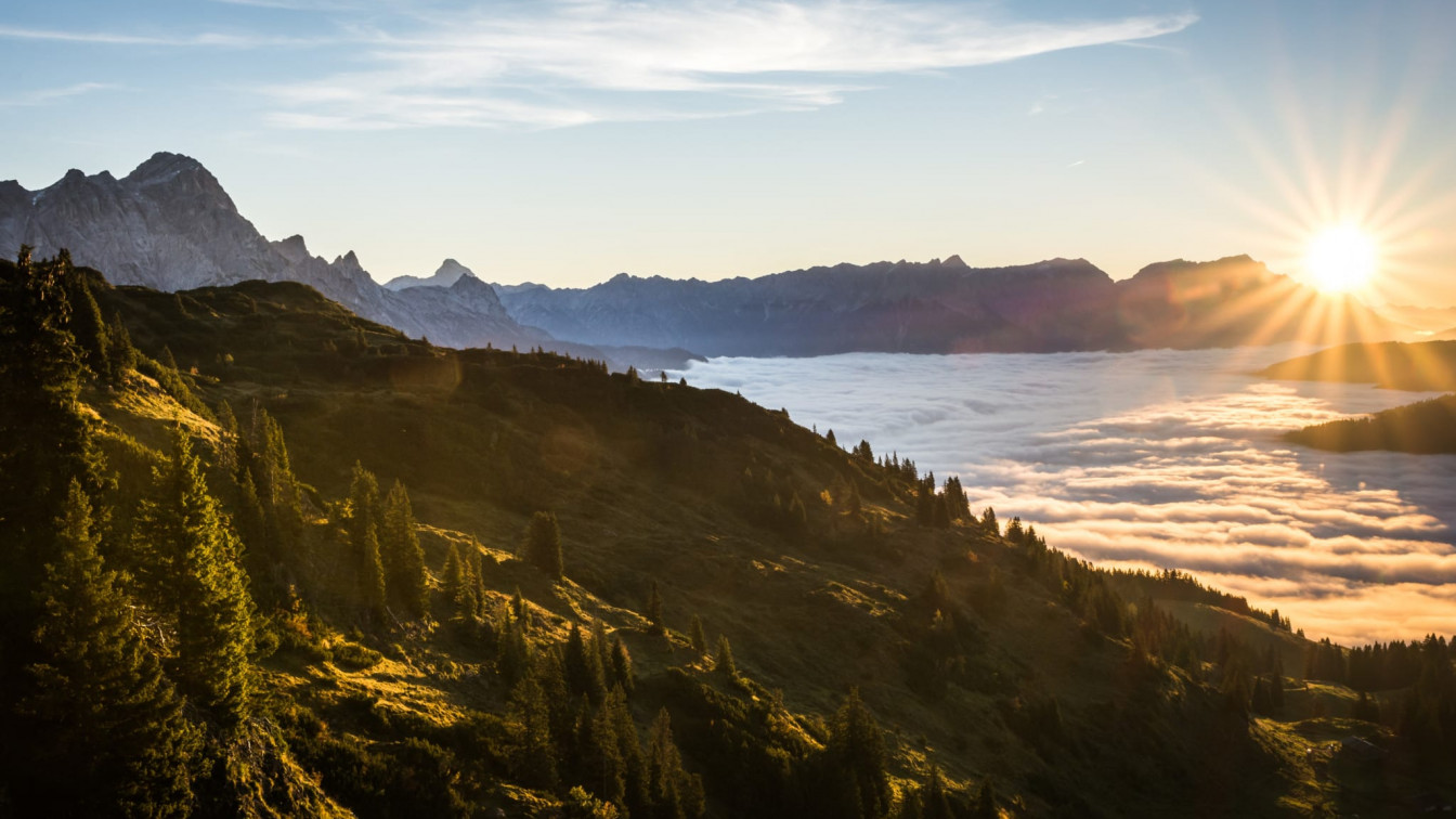 Spielbergalmen Saalfelden Leogang
