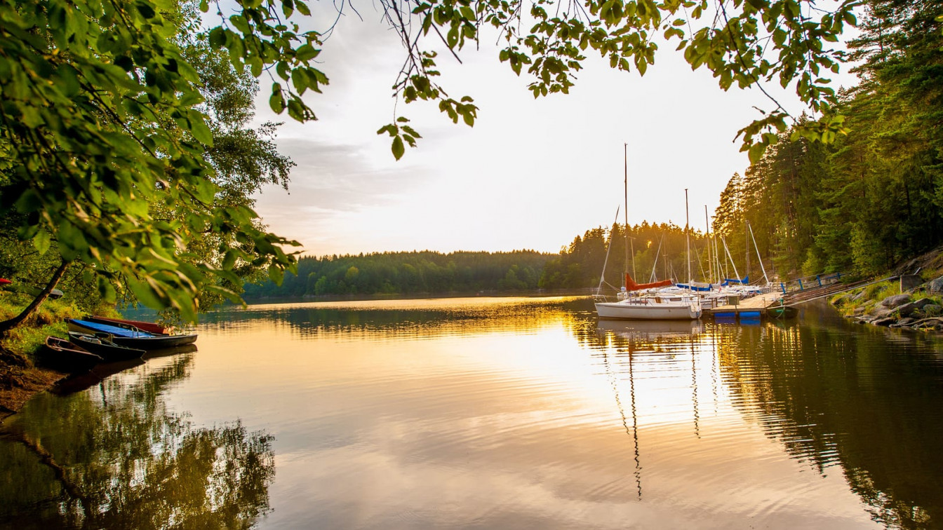 sommerliche ausflugsziele rund um wien
