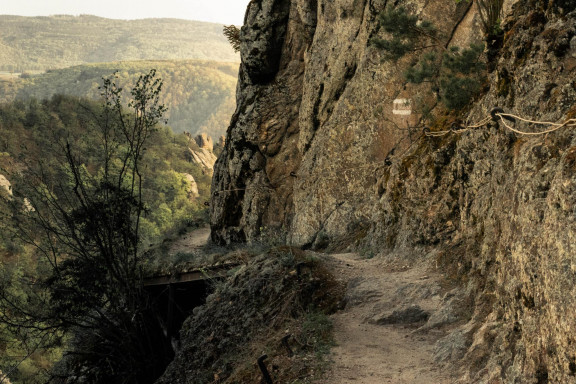 Der Vogelbergsteig - (c) 1000things.at, Katharina Tesch