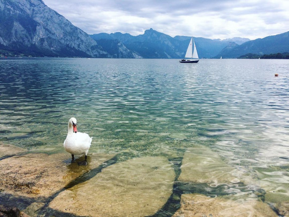 Traunsee - Salzkammergut-Radweg
