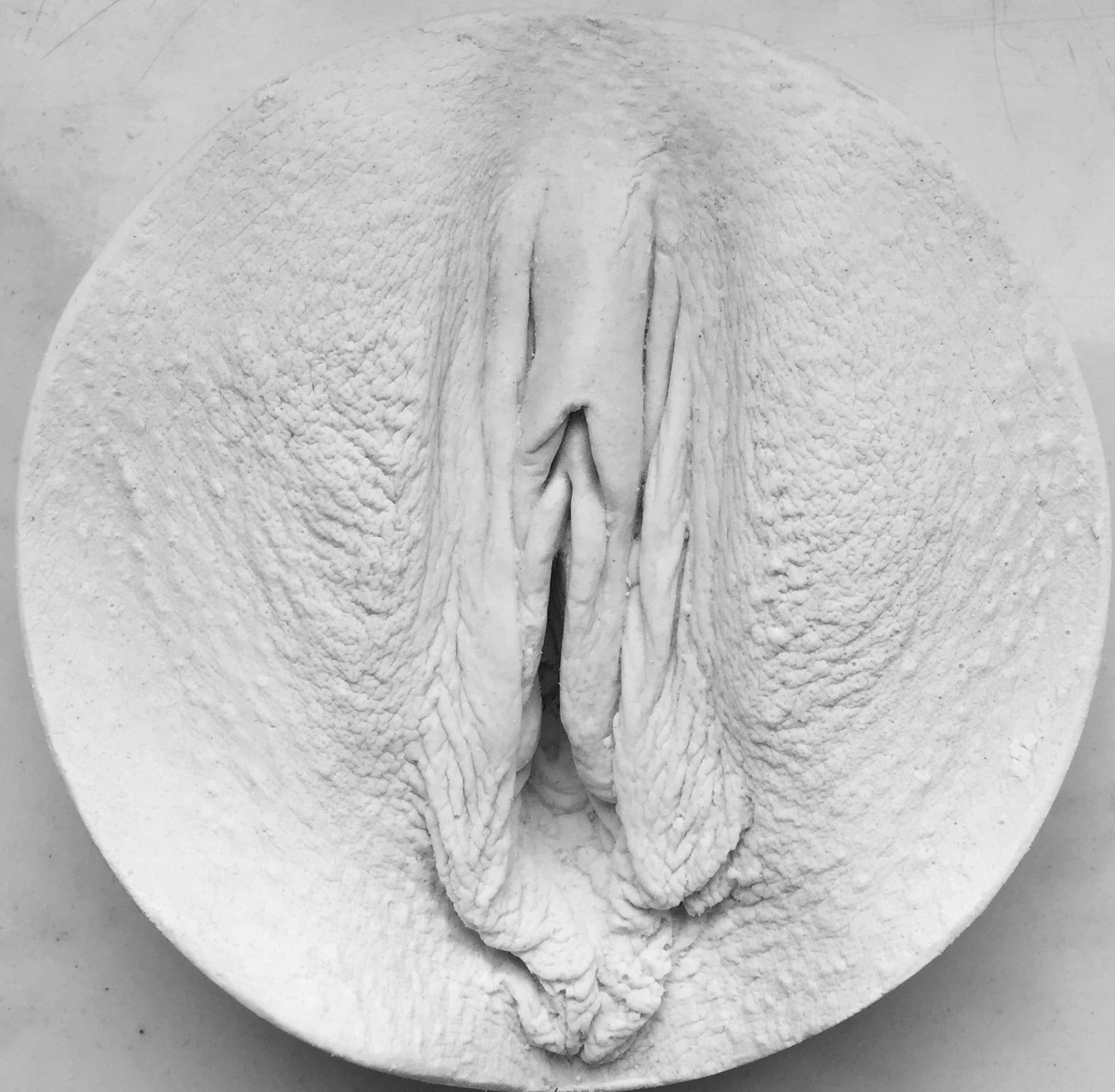 Vulva