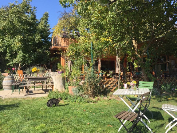 Weinahandwerk Wien Gastgarten