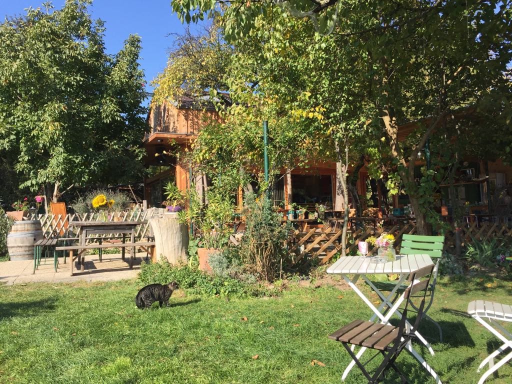 Weinahandwerk Wien Gastgarten