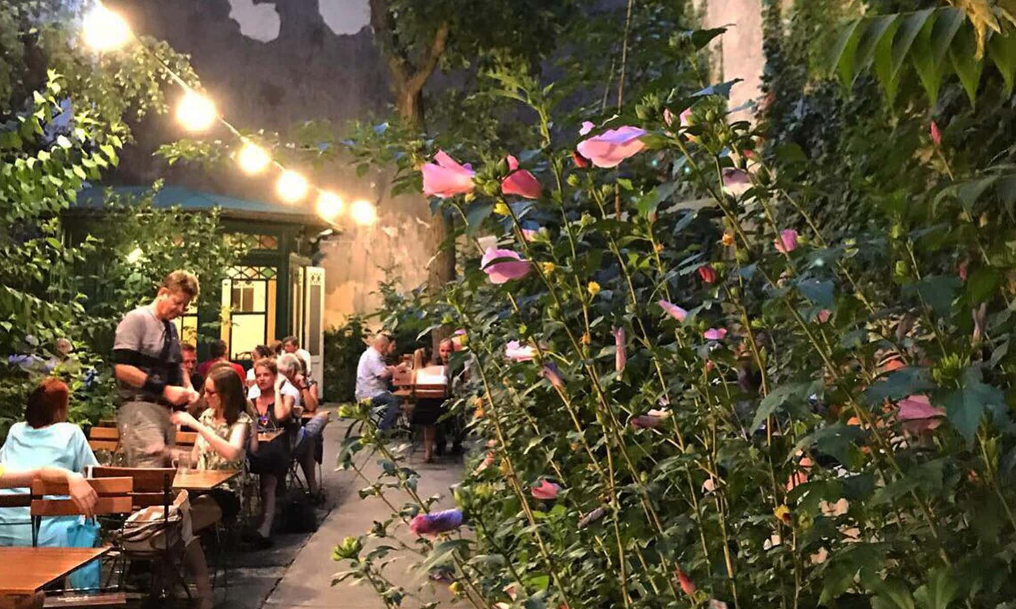 sommerliche dates in wien