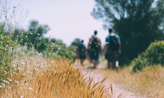 Header Themenwanderungen