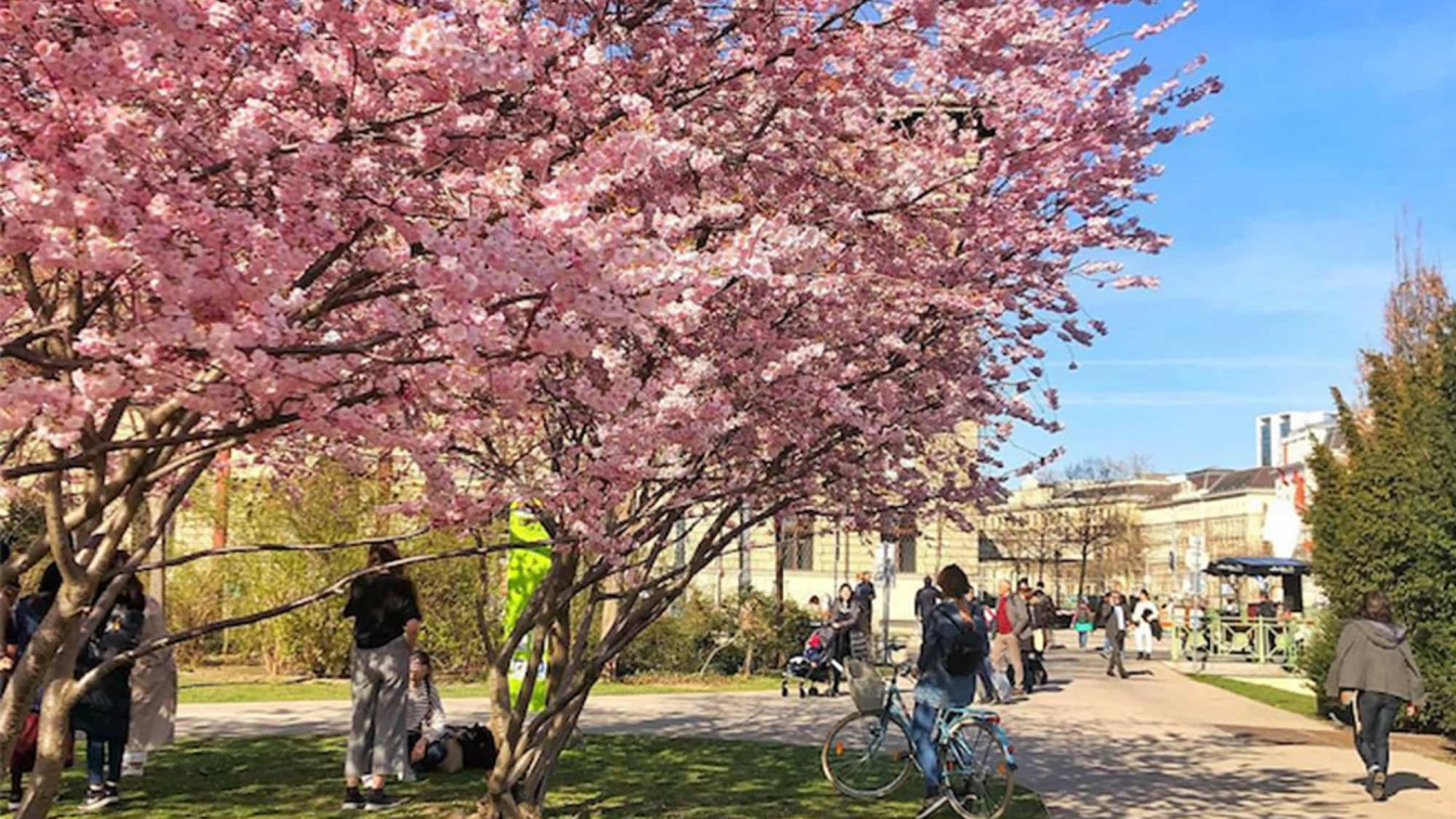 april in wien
