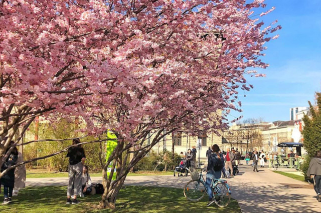 april in wien
