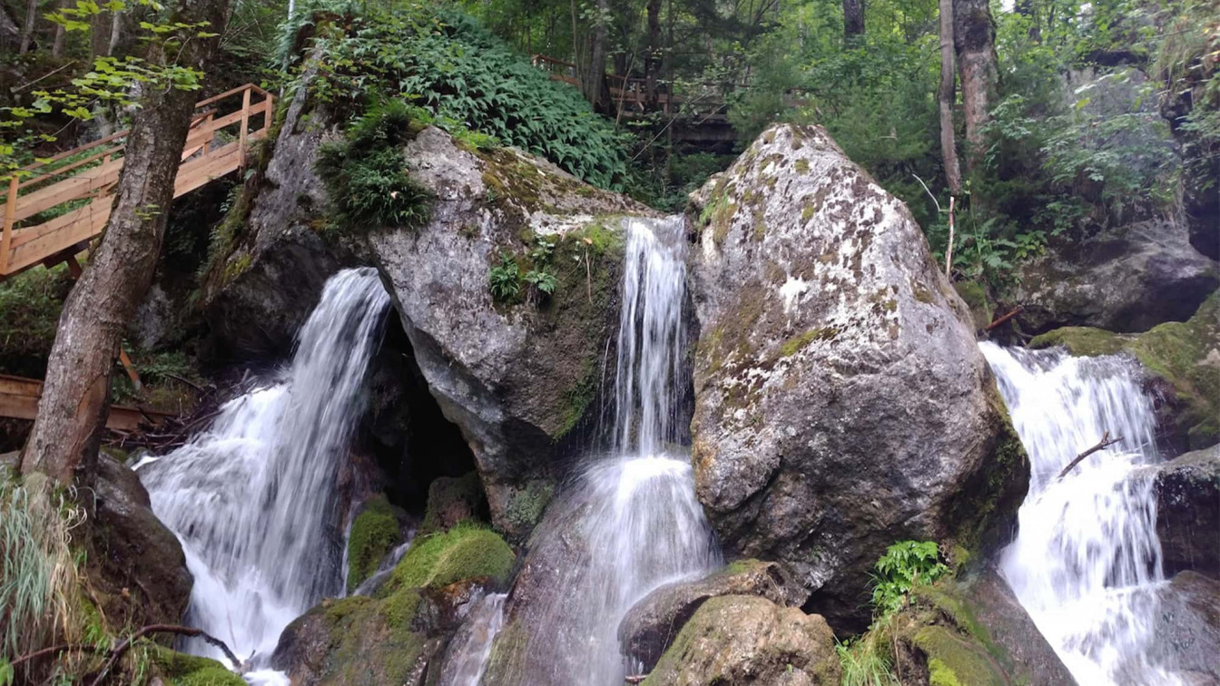 Myrafälle Wienerwald