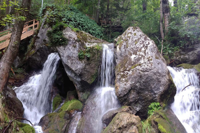 Myrafälle Wienerwald