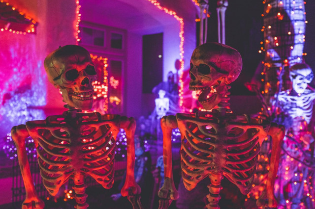 Außergewöhnliche Horrorfilme