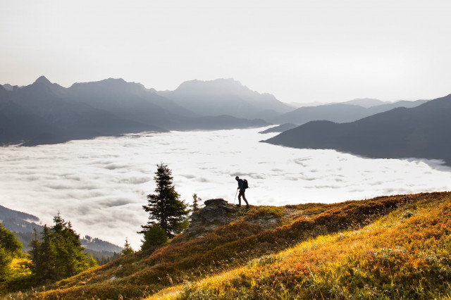fruehlingshafte ausfluege rund um salzburg